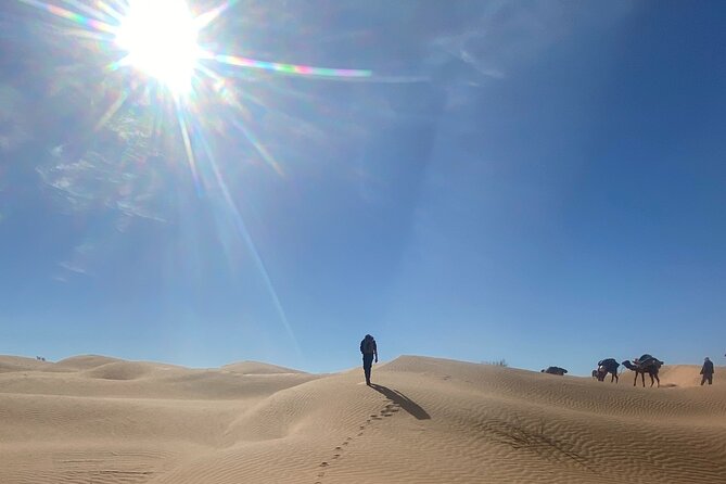 Desert tours and adventurous camel trekking through the Sahara - Sleeping under the stars and handling simple conditions