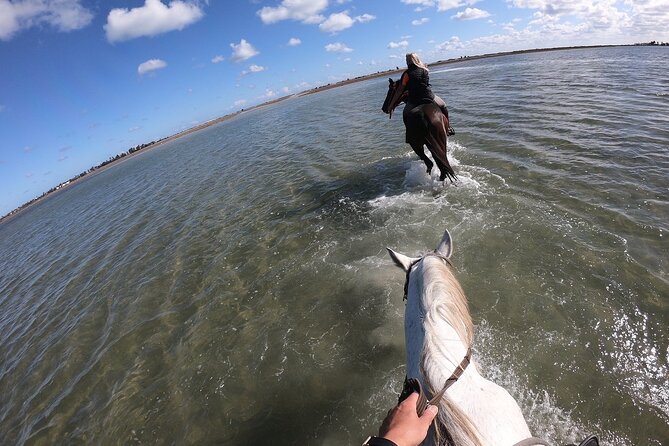 Discovery ride on horseback or camel 2h30 - The Short Water Break and Return Along the Coast