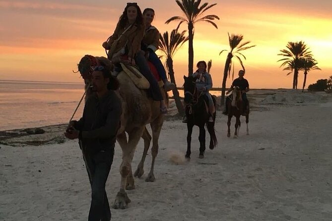 Discovery ride on horseback or camel 2h30 - Horses, Camels, and Riding Comfort