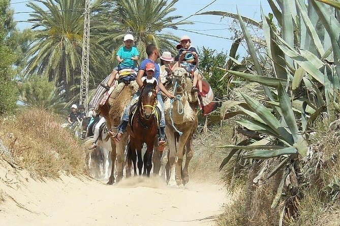 Discovery ride on horseback or camel 2h30 - Timing, Weather, and What to Bring