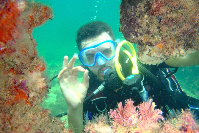 Diving initiation (Initiation) - Meeting the team at Plage Hotel Iris