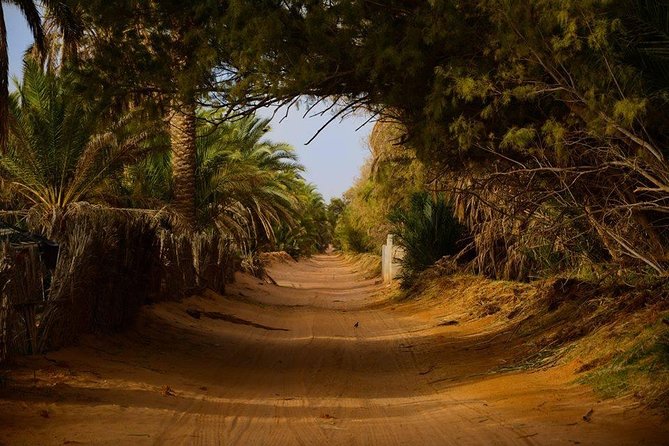 Door of the tunisian desert Ksar Ghilane and Matmata: Full one Day - The main drawbacks to consider before booking