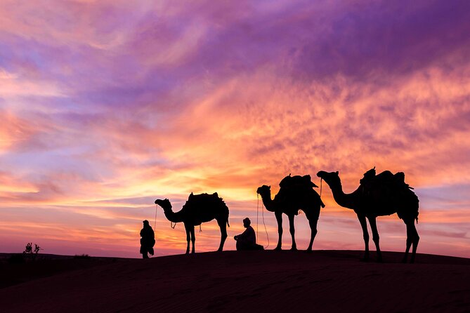 Douz Overnight Camp Stay in Sahara Desert with Dinner By Camel - The first camel ride across the golden dunes