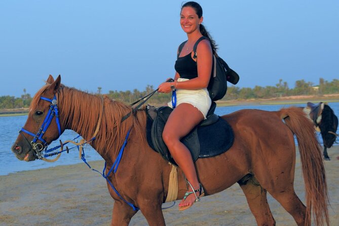 Explore Djerba by camel and horse - Key points at a glance