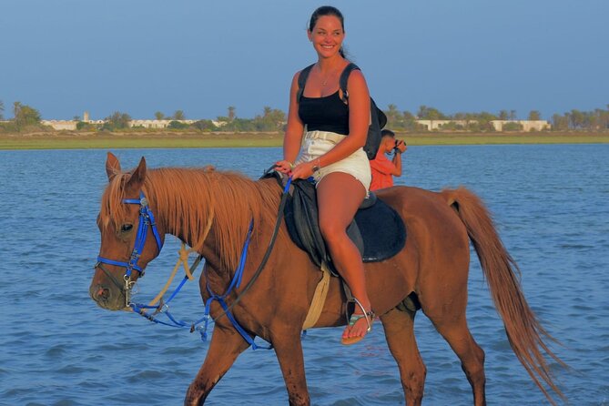Explore Djerba by camel and horse - Starting at Hôtel Dar el Manara in Djerba Midun