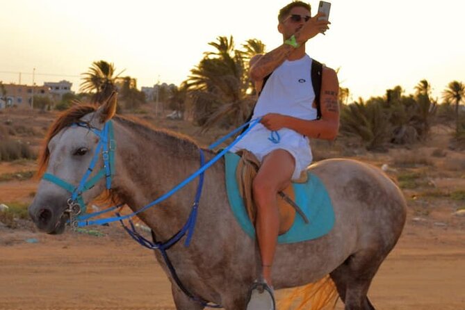 Explore Djerba by camel and horse - Following Berber tracks away from the crowds