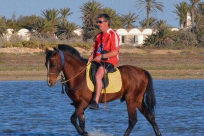 Explore Djerba by camel and horse