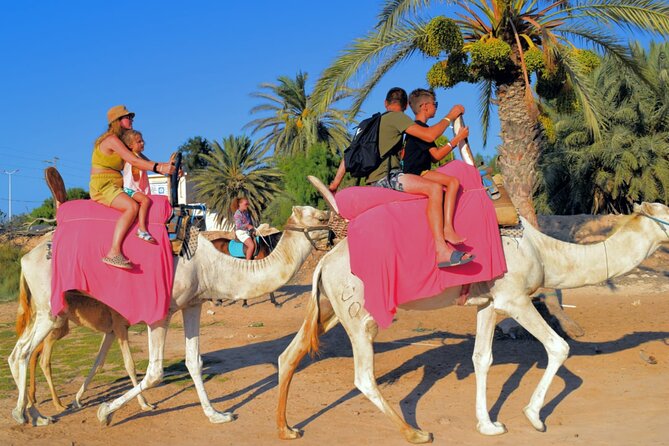 Explore Djerba by camel and horse - The lagoon stop after about one hour