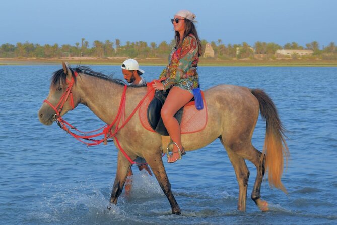 Explore Djerba by camel and horse - Returning to the ranch with a little variety