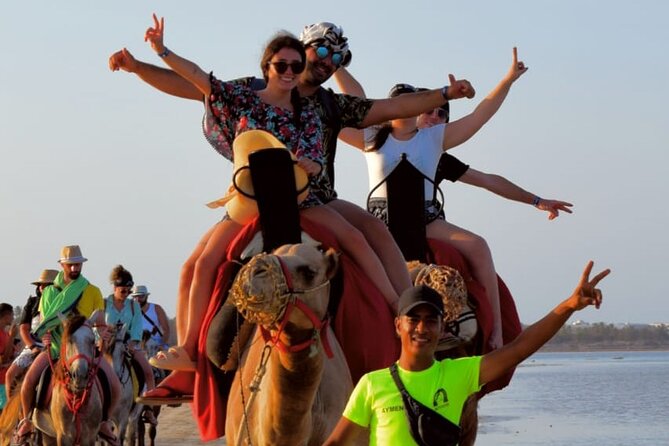Explore Djerba by camel and horse - Why the $42.97 price can make sense