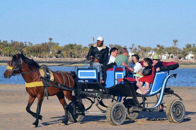 Explore Djerba by camel and horse - Who will enjoy this Djerba ride most