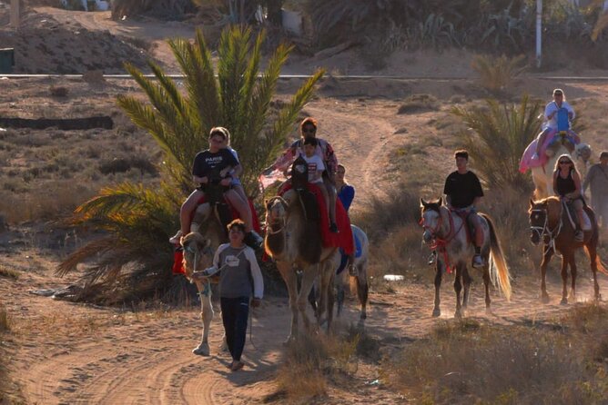 Explore Djerba by camel and horse - Timing, weather, and cancellation rules