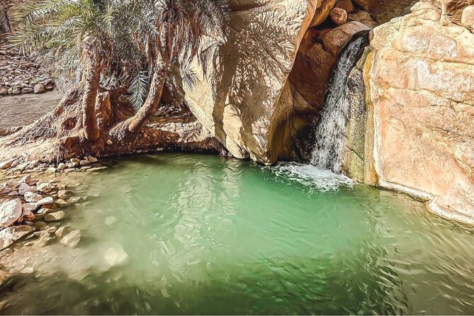 Explore Tunisia in Depth:The Private Grand Tour in 8 Days - Day 4: Mountain oases and a Star Wars site