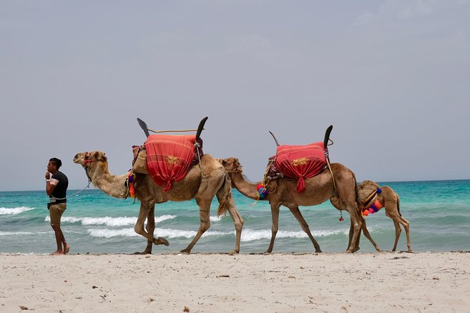 From Djerba : 1 day in the footsteps of Star Wars "Mos Eisley" - Starting at Meninx, a quiet Roman-era stop