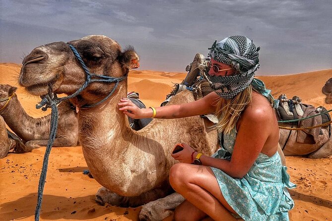 From Djerba: Explore the desert in a day - Key points before you book