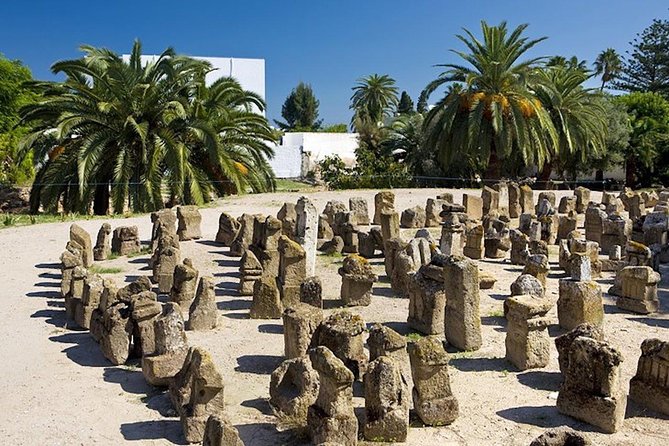 From Hammamet or Tunis: Carthage, Bardo, Sidi Bou said and Medina - The Carthage aqueduct stop
