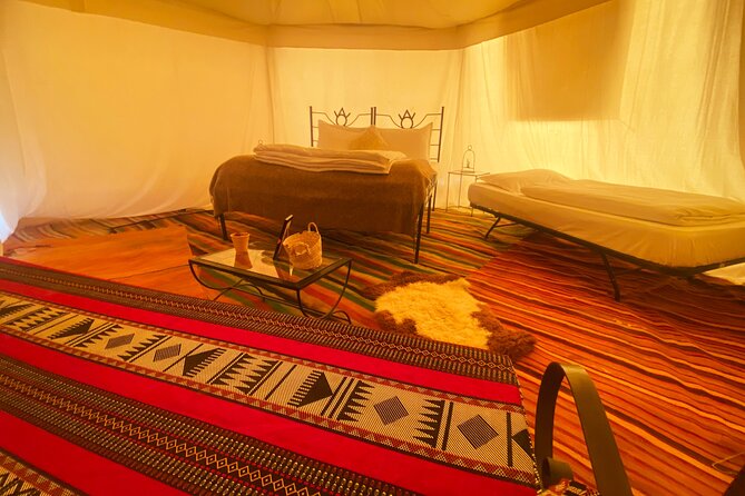 From Hammamet: Sahara Desert Overnight Camping - Key points at a glance