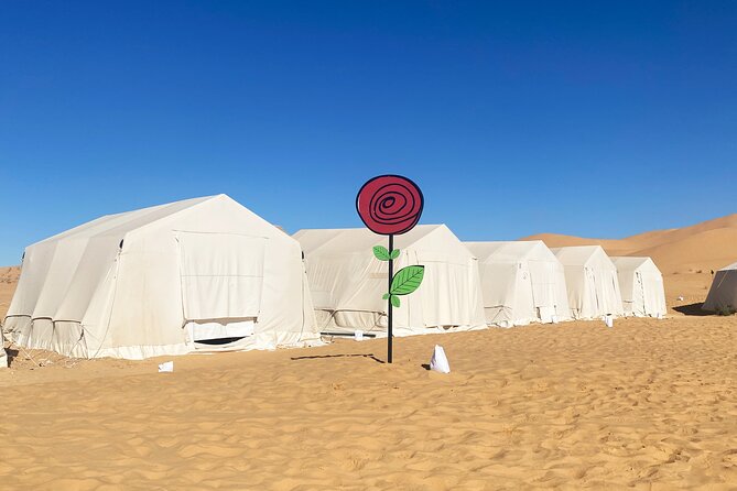 From Hammamet: Sahara Desert Overnight Camping - What the $480 price really covers