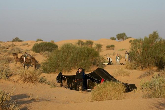 From Tozeur: 3-Day Desert Trip - Leaving Tozeur for Chott Djerid