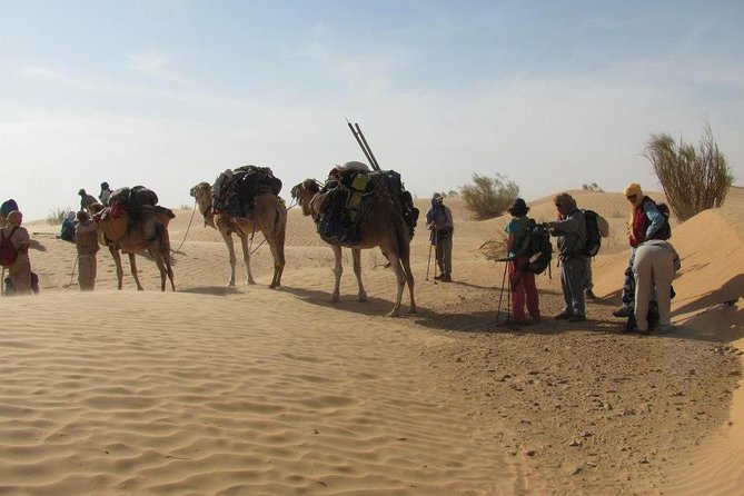 From Tozeur: 3-Day Desert Trip - Dinner and a night at the Bedouin camp