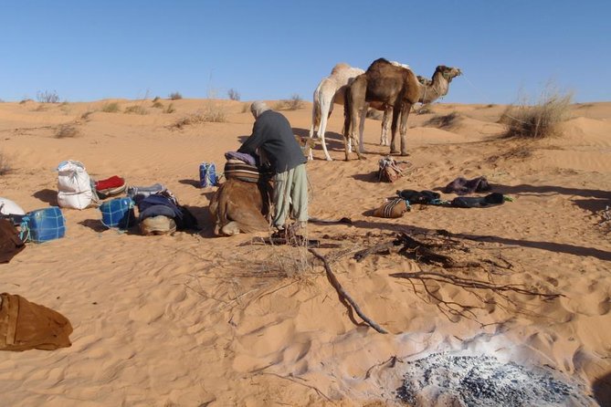 From Tozeur: 3-Day Desert Trip - What the private format changes