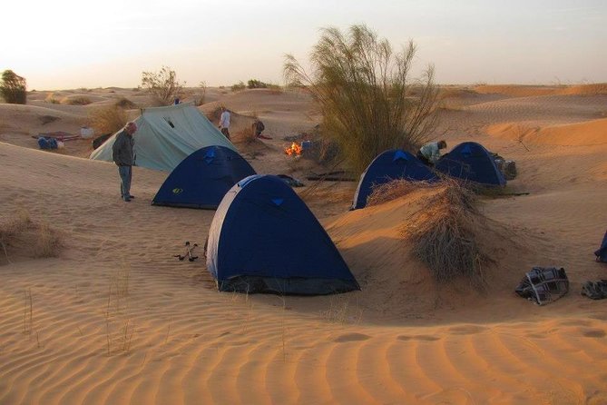 From Tozeur: 3-Day Desert Trip - Debebcha brings a human stop to the route