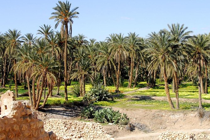 From Tunis: Star Wars 5 day tour - Day five: A troglodyte home and El Jem’s Roman finale