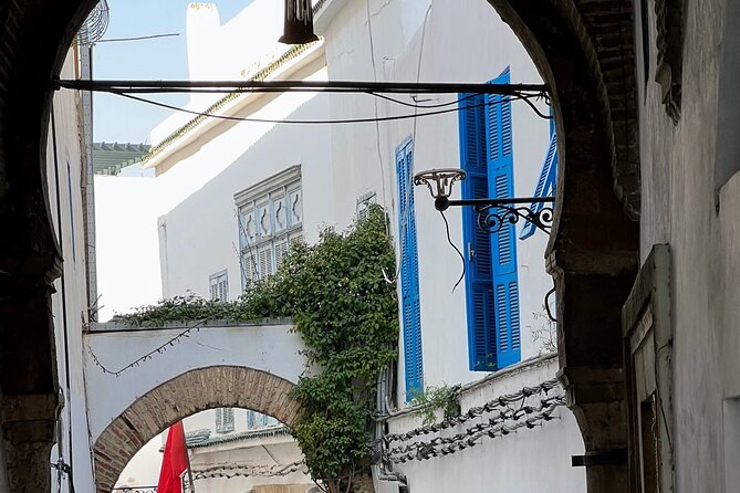 Full-Day Shore Excursion Private Tour in Tunisia Carthage ,Medina, Sidi Bou said - Sidi Bou Said: blue-and-white views in 90 minutes