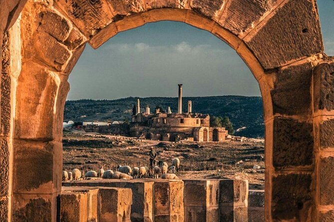 Full Day Uthina and Dougga Tour with Licensed Guide - Why this pairing works so well from Tunis