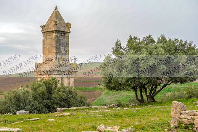 Full Day Uthina and Dougga Tour with Licensed Guide - Temples, homes, and the Licinian Baths