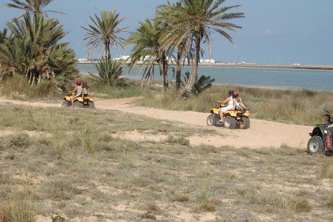 Great ride forest and blue lagoon in quad - Single or Double Quad: Which Should You Choose?