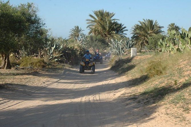 Great ride forest and blue lagoon in quad - Who Will Get the Most From This Ride?