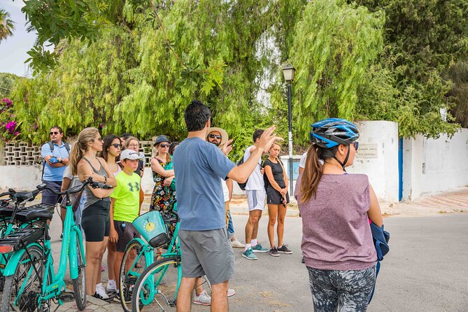 Group Guided Bike Tour of Carthage Archeological Site in Tunisia - Guides who make bare ruins easier to understand