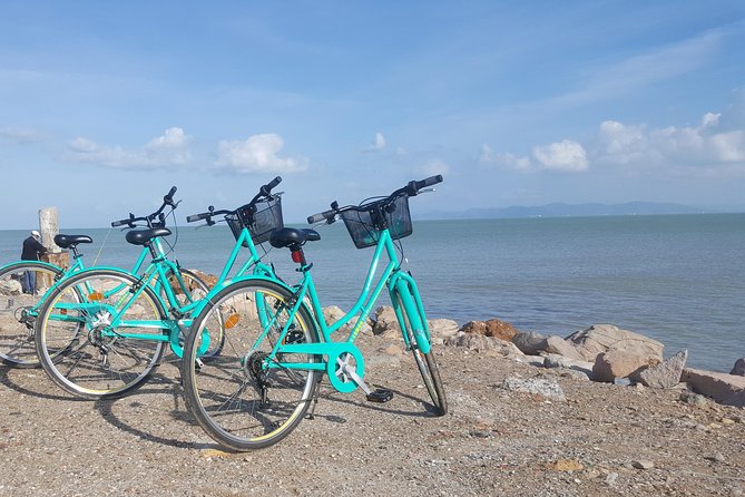 Guided Bike Tour of Carthage Archeological Site in Tunisia - What the private guide adds