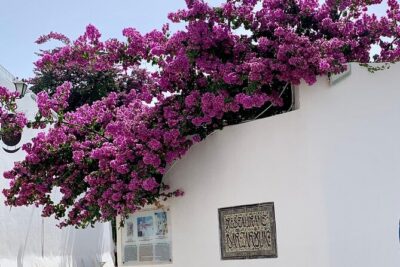 Half a day in Sidi Bousaid from Hammamet