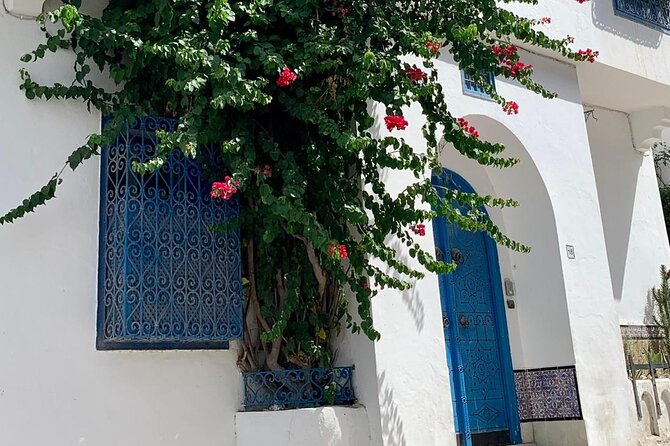 Half a day in Sidi Bousaid from Hammamet - Who Should Book This Sidi Bou Said Trip?