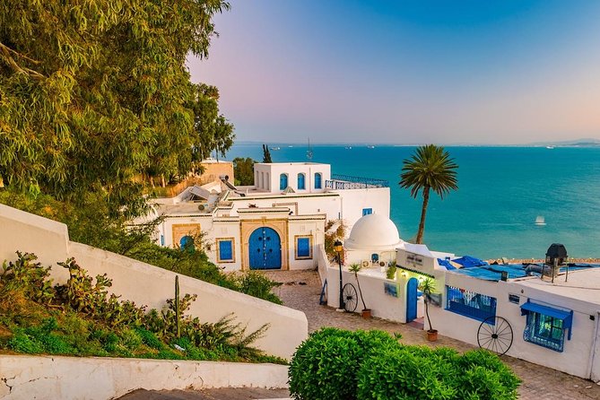 Half-Day Carthage, Sidi Bou Said Private Tour with Licensed Guide - Why this half-day pairing works so well