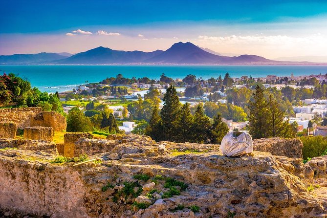 Half-Day Carthage, Sidi Bou Said Private Tour with Licensed Guide - What to confirm before you reserve