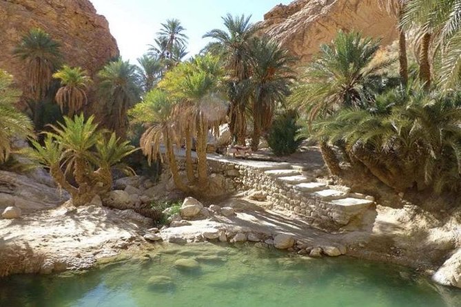 Half-day excursion the mountain oases from Tozeur - Why the mountain oases make a good half-day trip