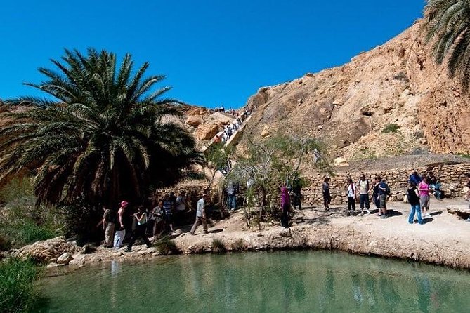 Half-day excursion the mountain oases from Tozeur - Is $65.31 a fair price?