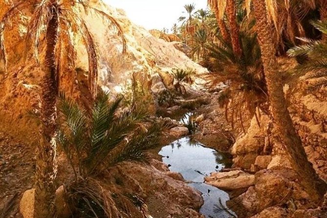 Half-day excursion the mountain oases from Tozeur - Who will enjoy this trip most?