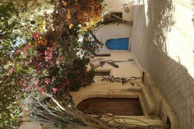 Half Day Trip to Djerba Island