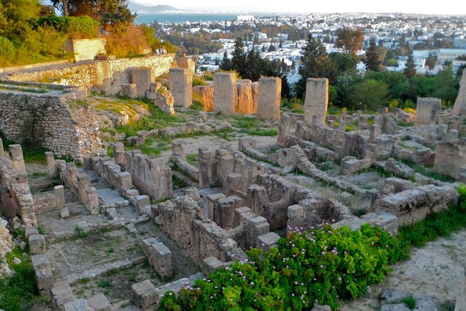 Historical Tour of Ancient Carthage - Key points at a glance