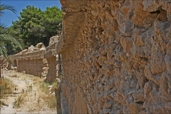 Historical Tour of Ancient Carthage - Who will get the most from this Carthage experience?