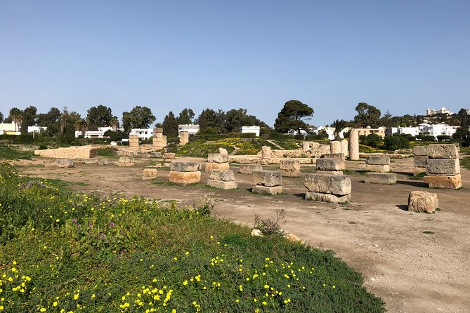 Historical Tour of Ancient Carthage - The Roman arena at Site Archeologique de Carthage