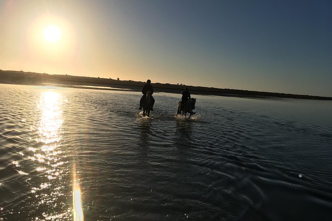 Horseback riding at sunrise 3h - A Ride Built for Confident Horsemen