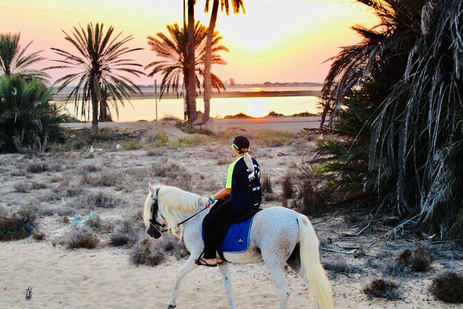 Horseback riding at sunrise 3h - The Value of $52.48