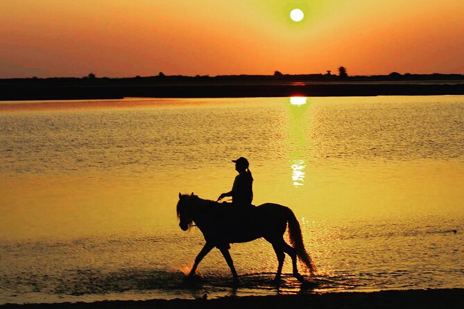 Horseback riding at sunrise 3h - Weather, Fitness, and Timing
