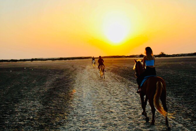Horseback riding at sunrise 3h - Booking and Cancellation Advice