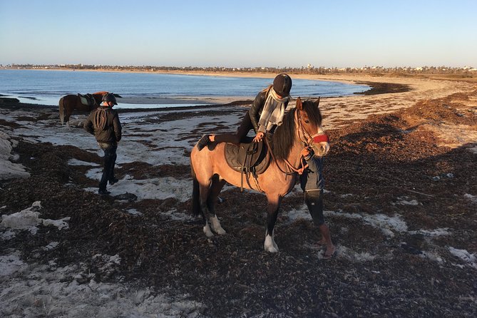 Horseback riding at sunrise 3h - Who Will Enjoy This Morning Most